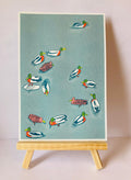 A4 Ducks Swimming