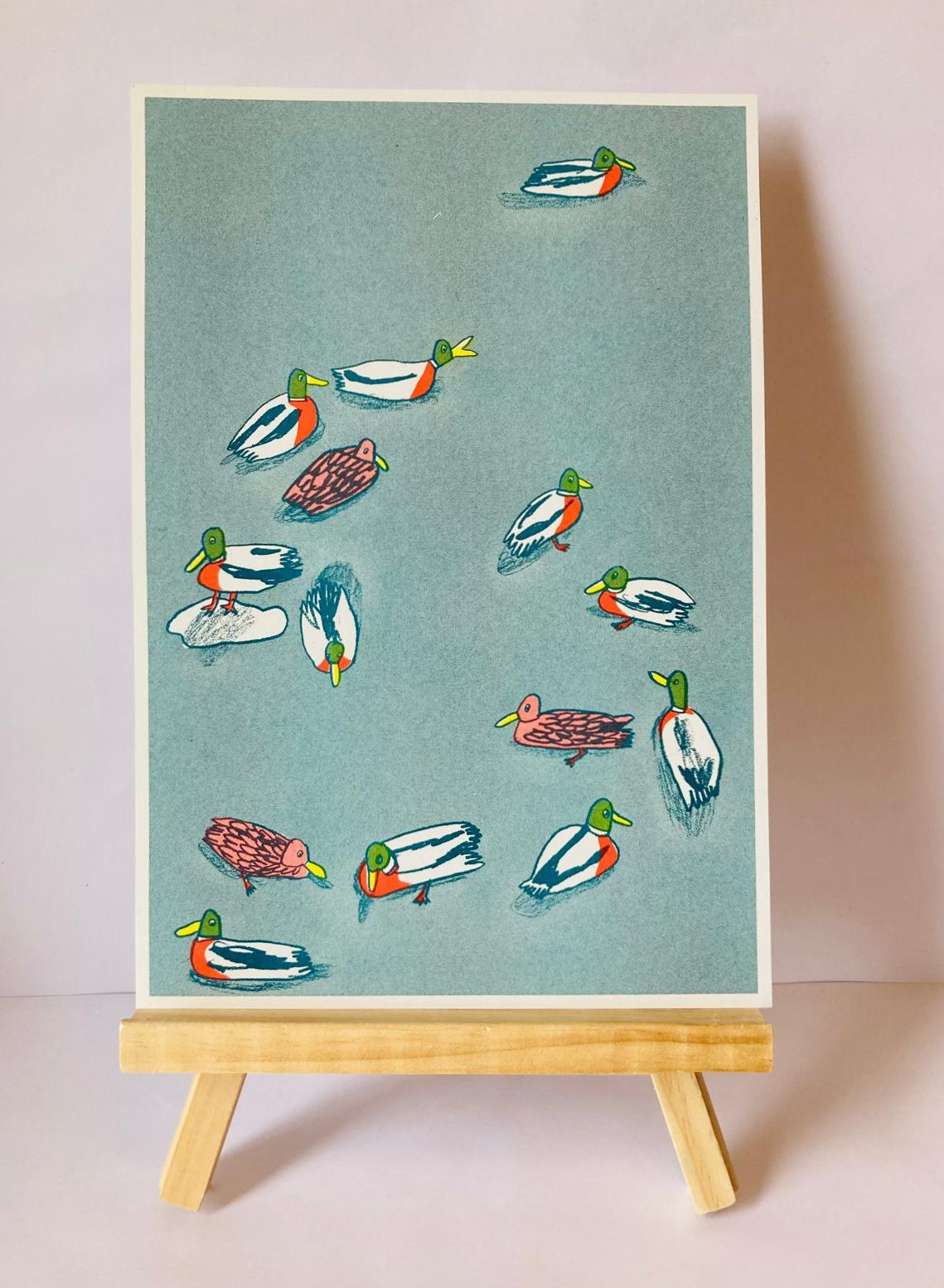 A4 Ducks Swimming