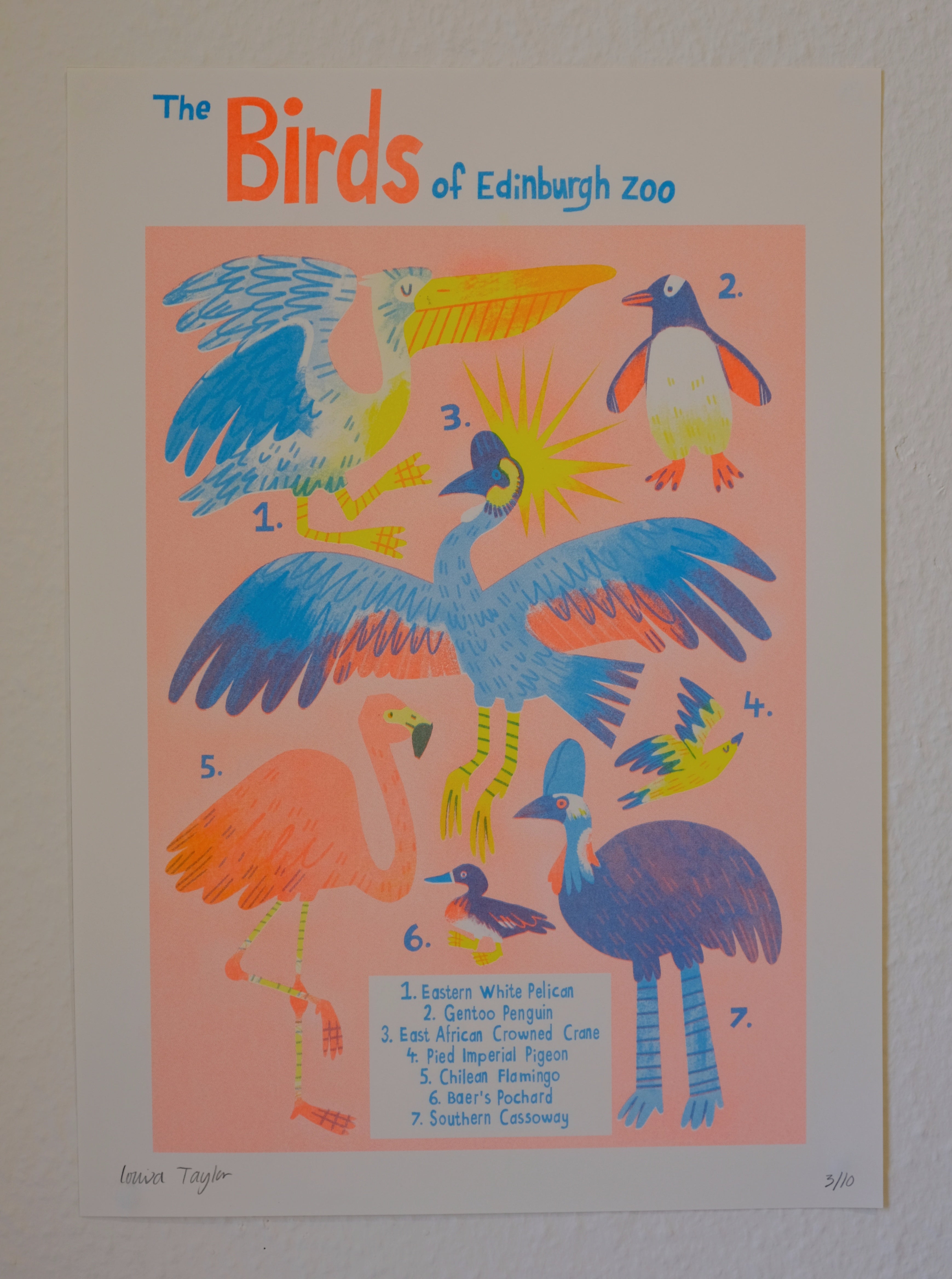 A3 Birds Print