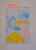 A3 Reptiles Print