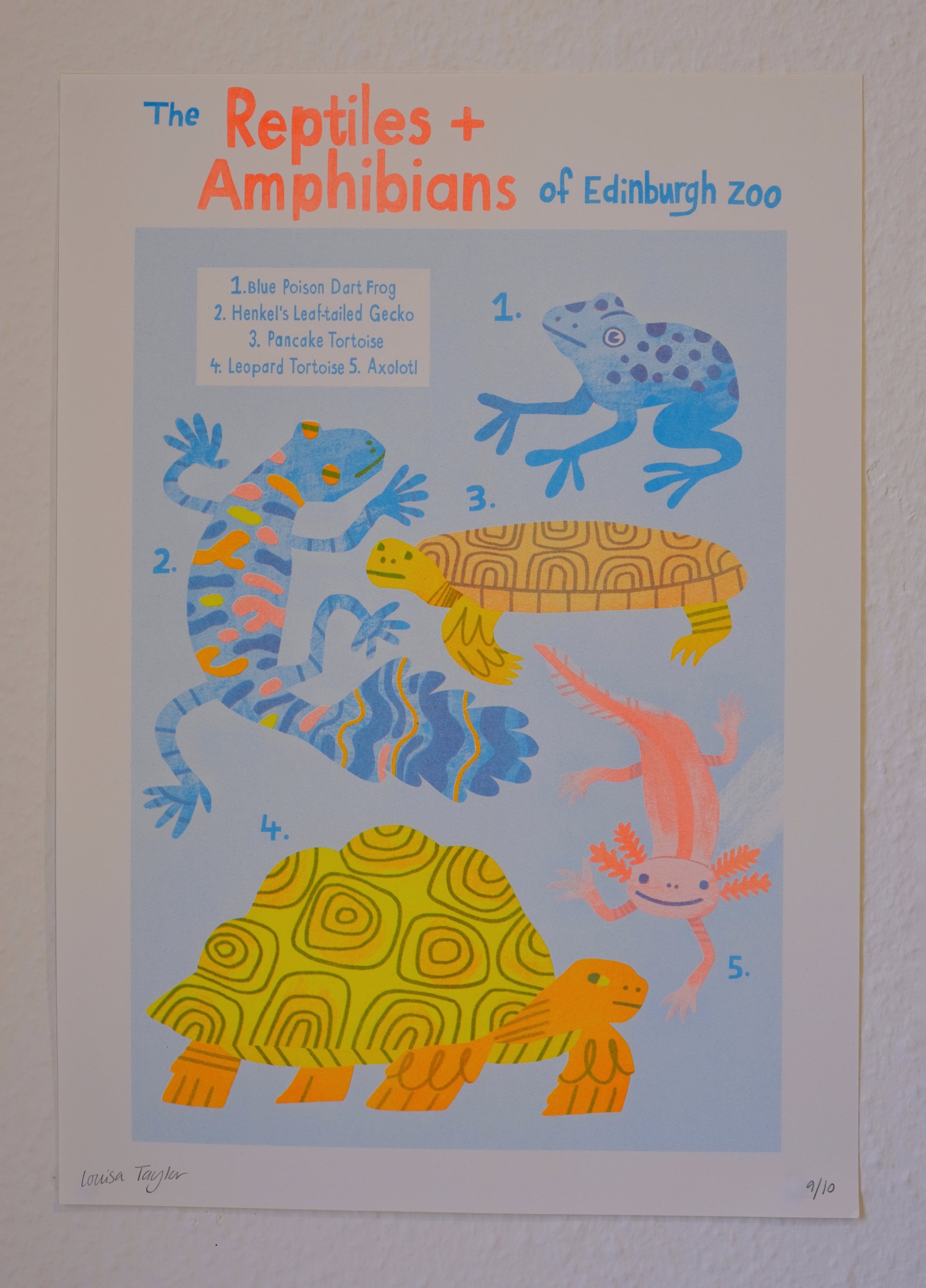 A3 Reptiles Print